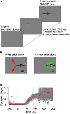 Effect of Prior Direction Expectation on the Accuracy and Precision of Smooth Pursuit Eye Movements